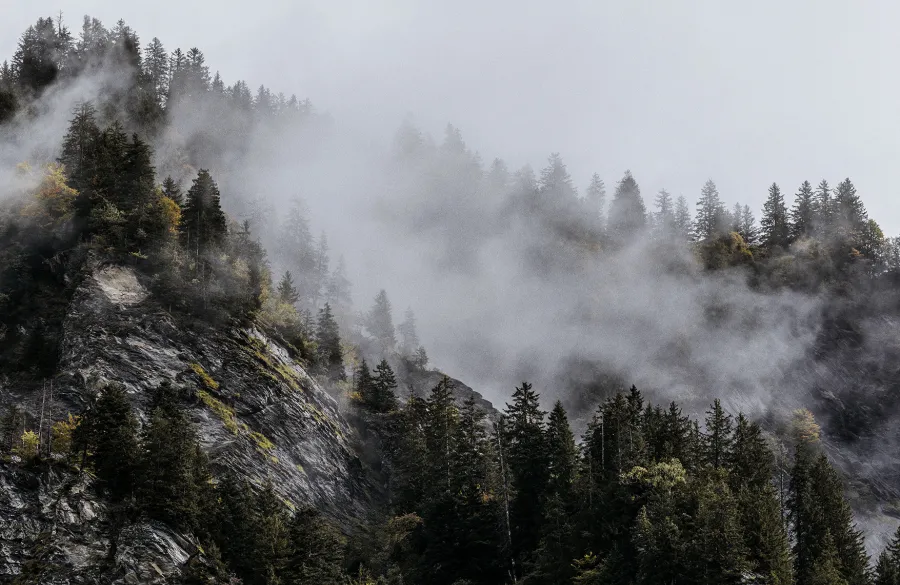 Second tier, first choice: The smart side of investing in subordinated mortgages.